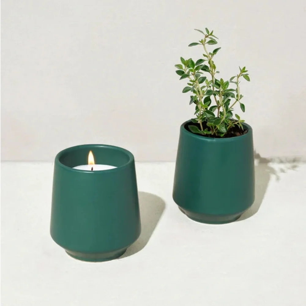 Rooted Thyme Candle & Grow Kit ~Light thyme scent w/ thyme seeds in ceramic jar
